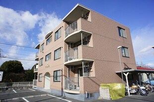 宇都宮駅 バス15分  山崎街道入口下車：停歩1分 1階の物件外観写真